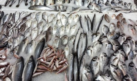 A new fish market will be built in Alanya