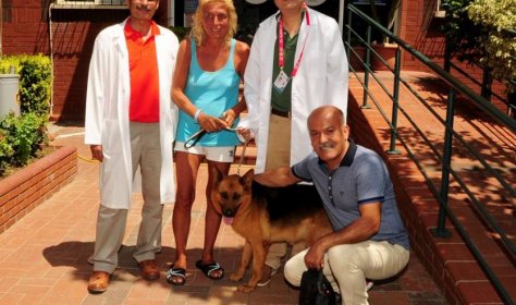 An animal shelter opened in Alanya.